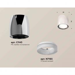 Комплект накладного светильника Ambrella light Techno Spot XS1143020 PSL/FR серебро полированное/белы матовый (C1143, N7165)  купить